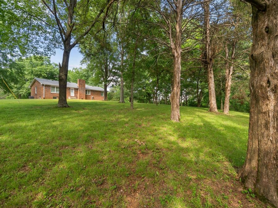 Property Image 46