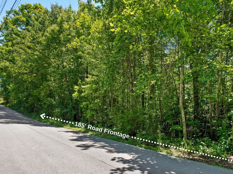Property Image 8