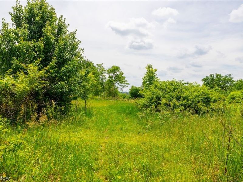 Henderson Ridge Road , Saint Clairsville, OH 43950 Photo 11