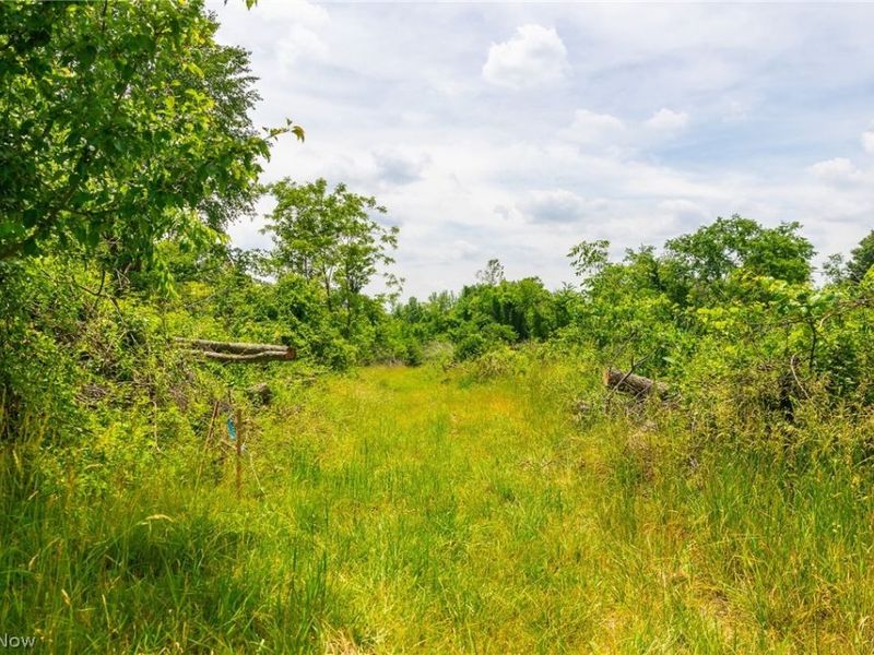 Henderson Ridge Road , Saint Clairsville, OH 43950 Photo 13