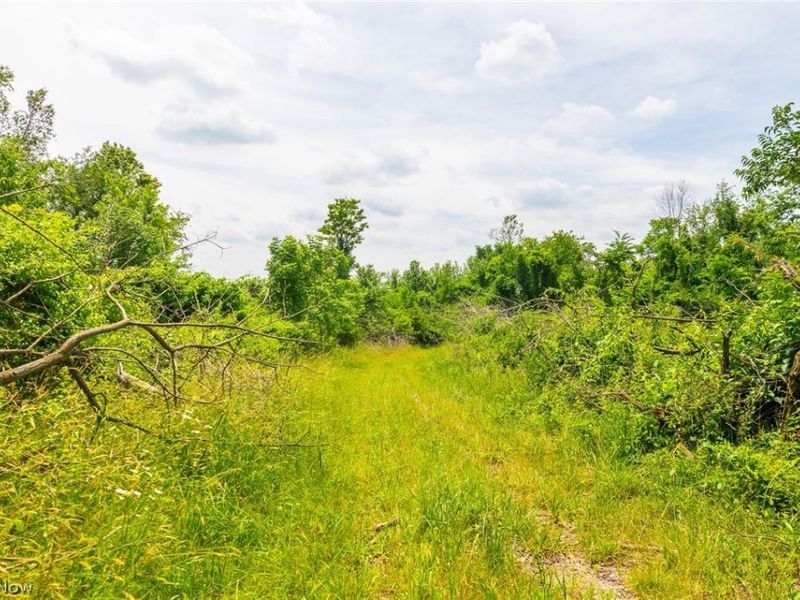 Henderson Ridge Road , Saint Clairsville, OH 43950 Photo 14