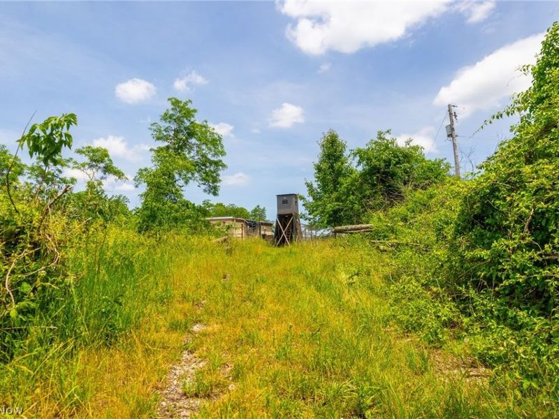 Henderson Ridge Road , Saint Clairsville, OH 43950 Photo 15