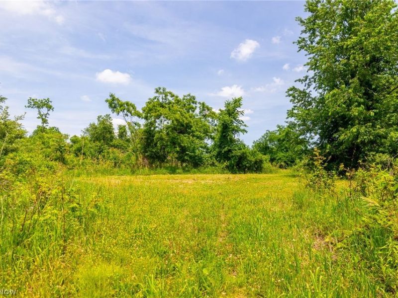 Henderson Ridge Road , Saint Clairsville, OH 43950 Photo 16