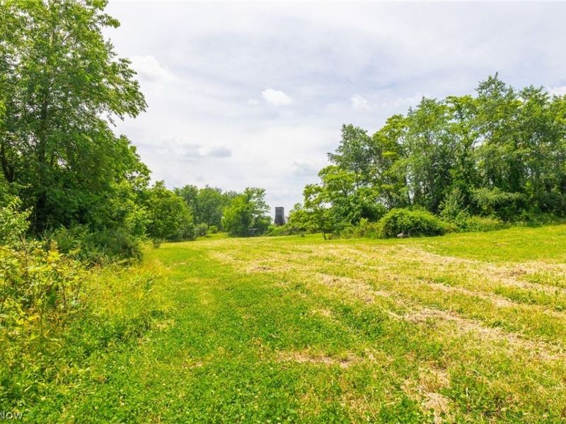 Henderson Ridge Road , Saint Clairsville, OH 43950 Photo 5