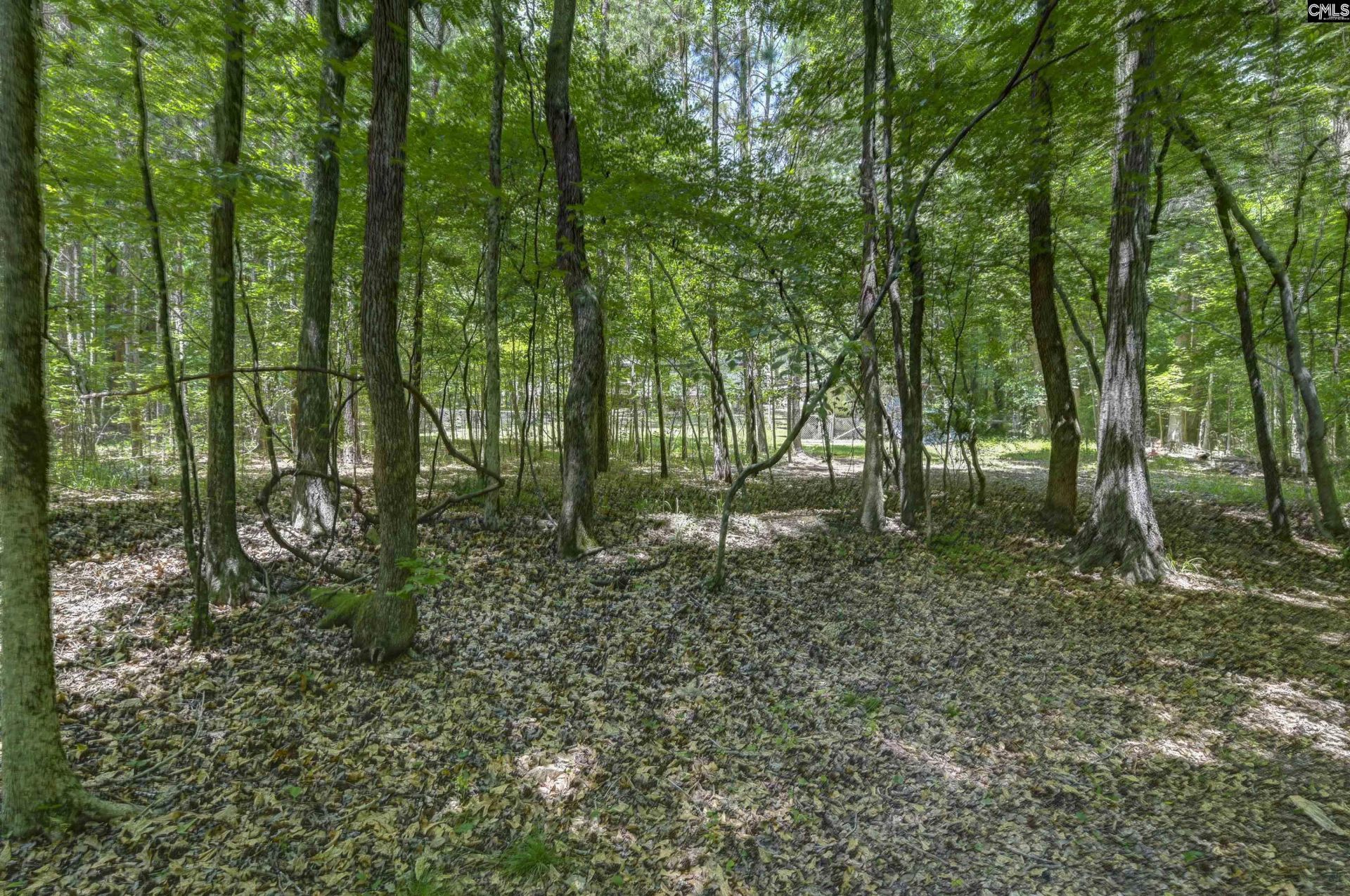 317 Horse Cove Road  Photo 28