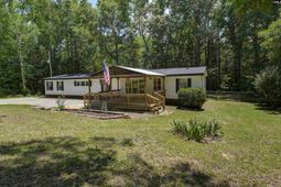 317 Horse Cove Road  photo 4