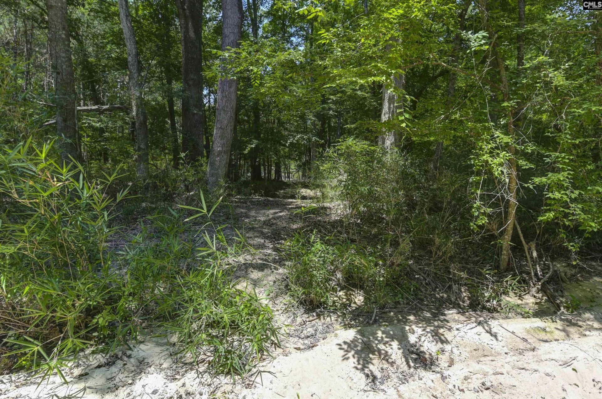 317 Horse Cove Road  Photo 31