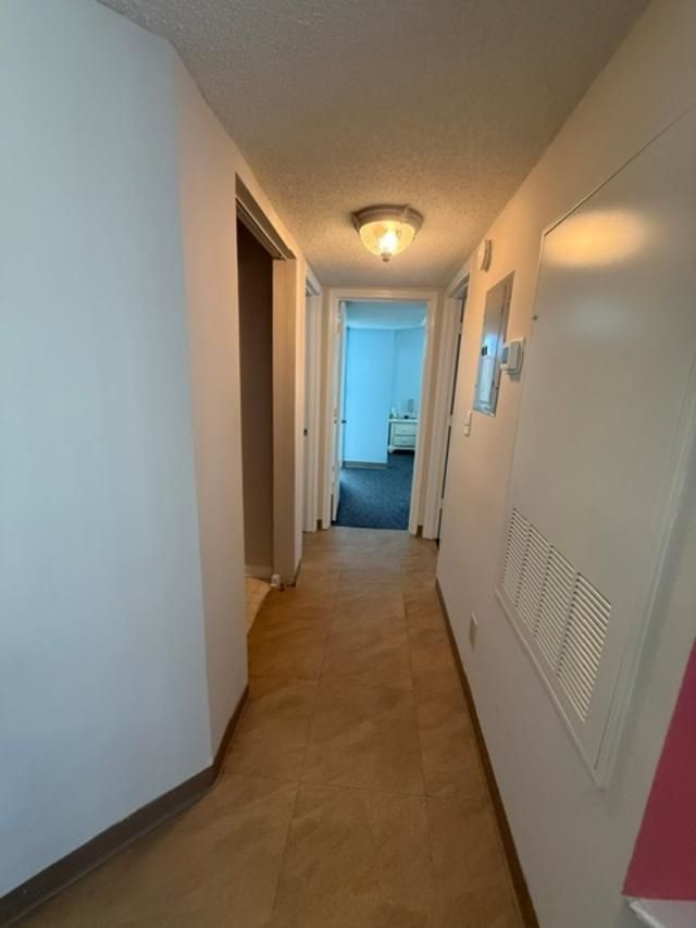 8768 Cloister Dr.  Photo 7