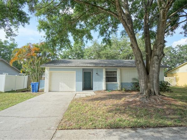 5117 ELLENDALE AVENUE , TAMPA, FL 33625