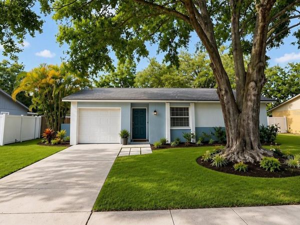 5117 ELLENDALE AVENUE, TAMPA, FL 33625