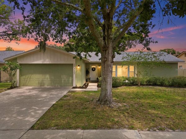 17513 SHADYSIDE CIRCLE , LUTZ, FL 33549