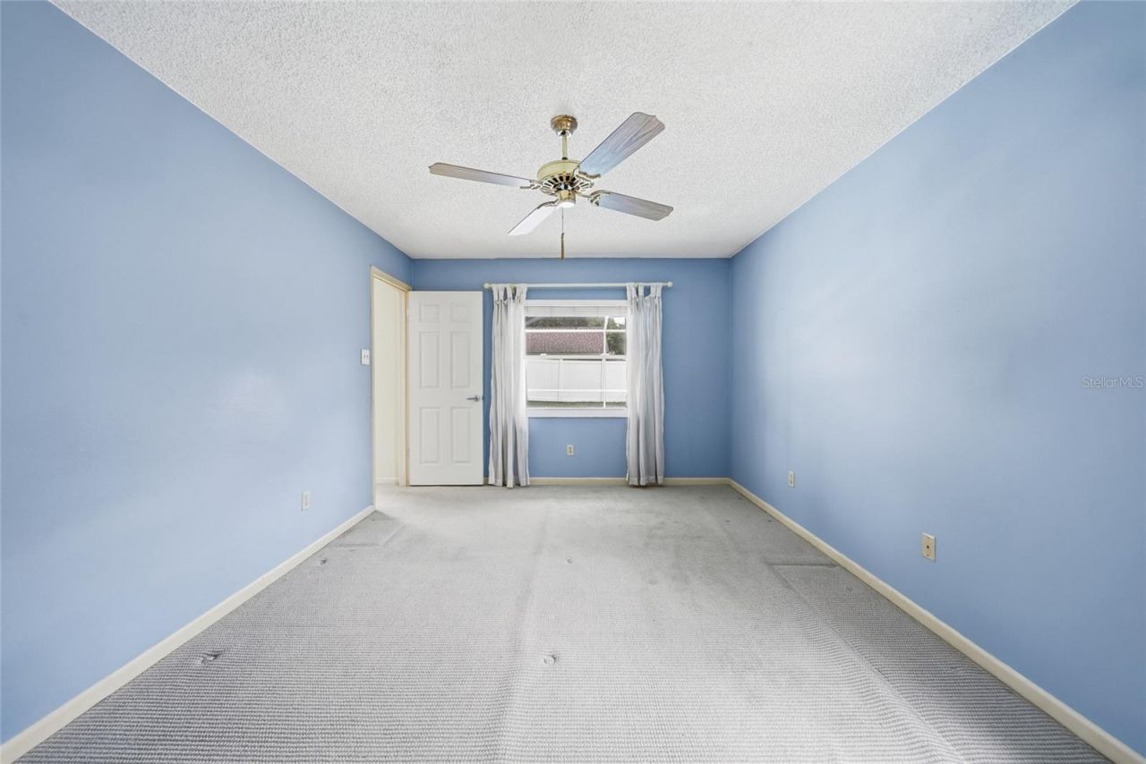 17513 Shadyside Circle, Lutz, FL 33549 Photo