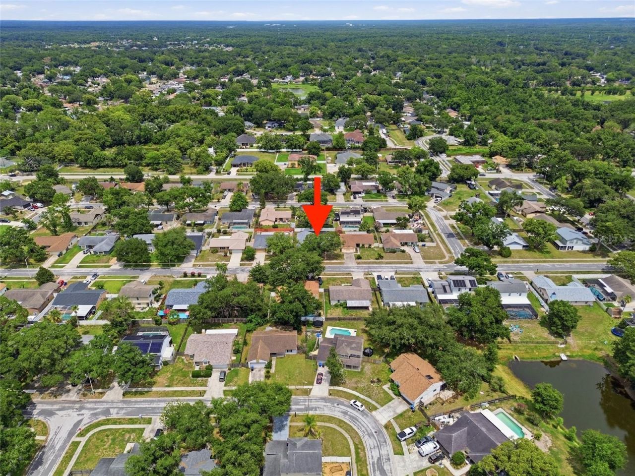17513 Shadyside Circle, Lutz, FL 33549 Photo