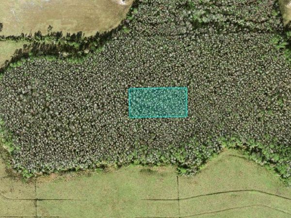 NO STREET , POLK CITY, FL 33868