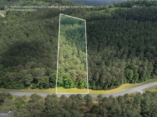 LOT 48 Thirteen Hundred, Blairsville, GA 30512