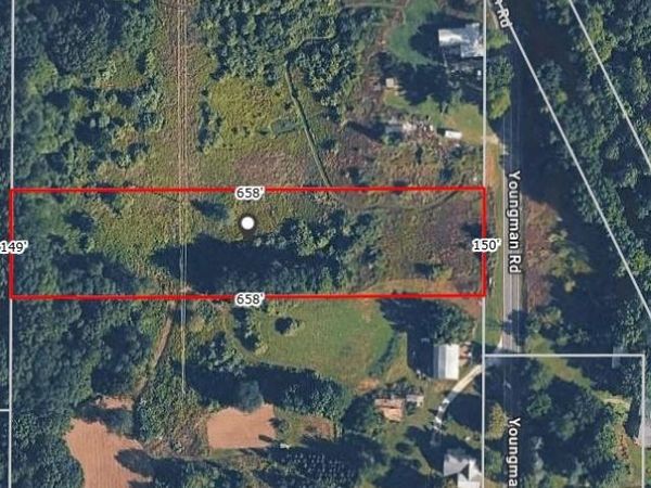 V/L Youngman Road , Montcalm Twp, MI 48838