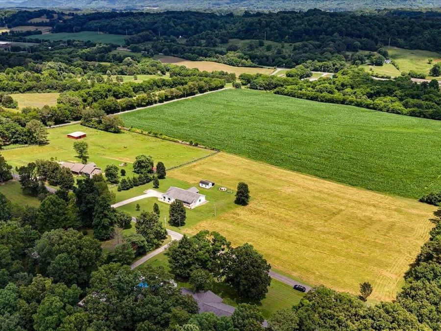 Property Image 81