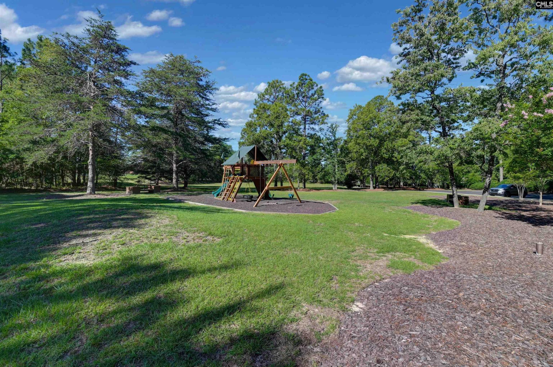 101 Brookwood Forest Drive  Photo 64
