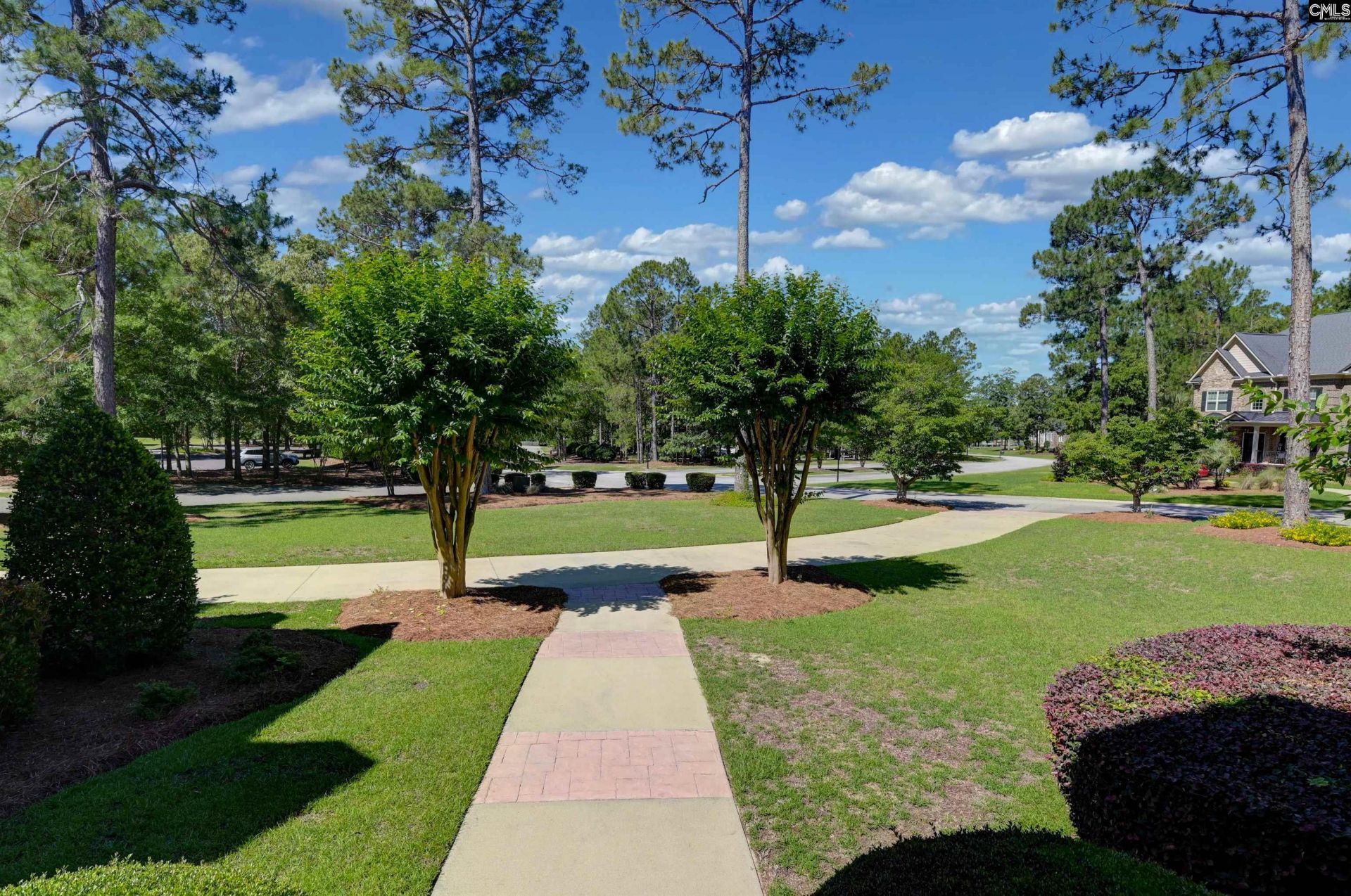 101 Brookwood Forest Drive  Photo 74