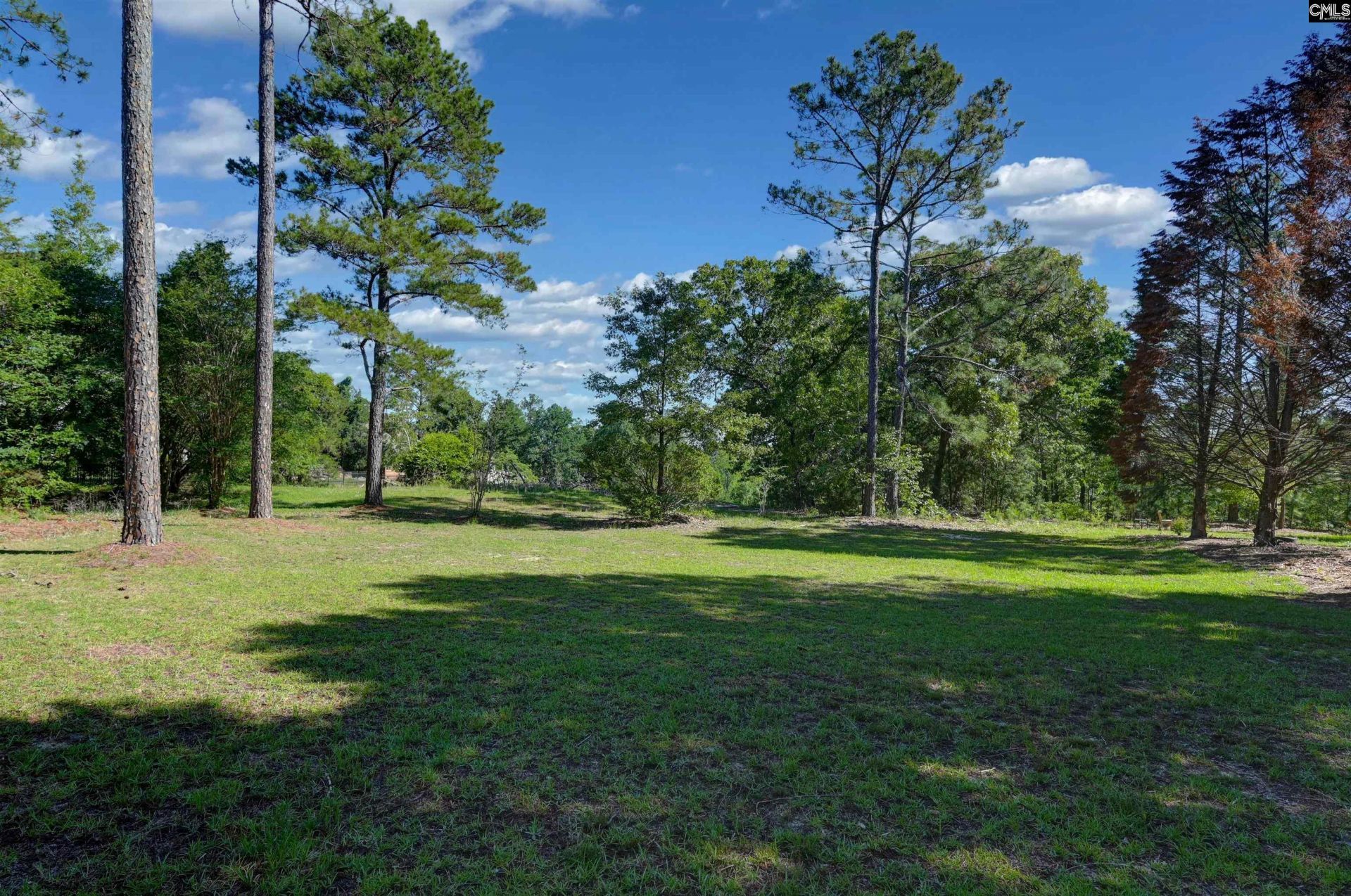 101 Brookwood Forest Drive  Photo 77