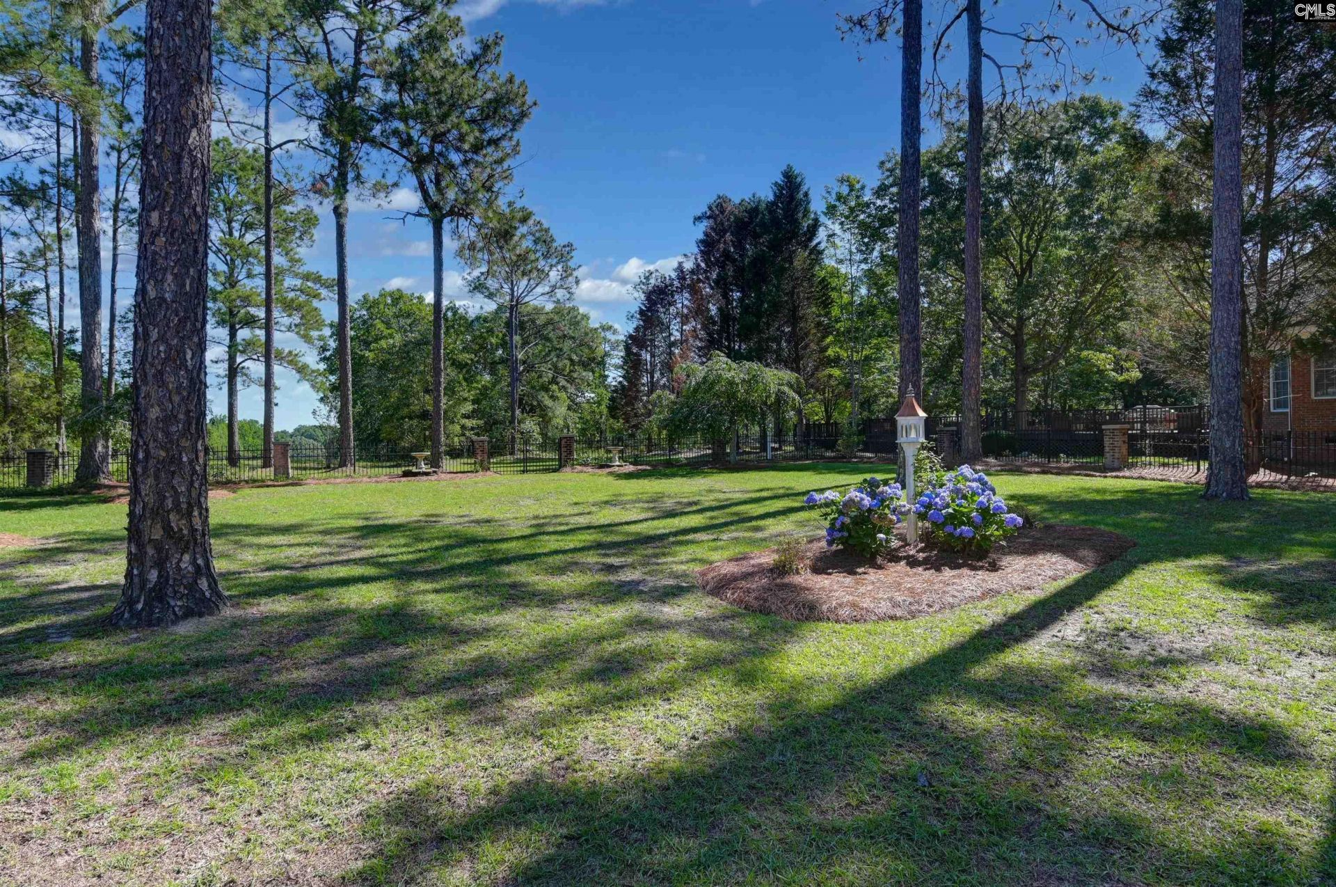 101 Brookwood Forest Drive  Photo 79