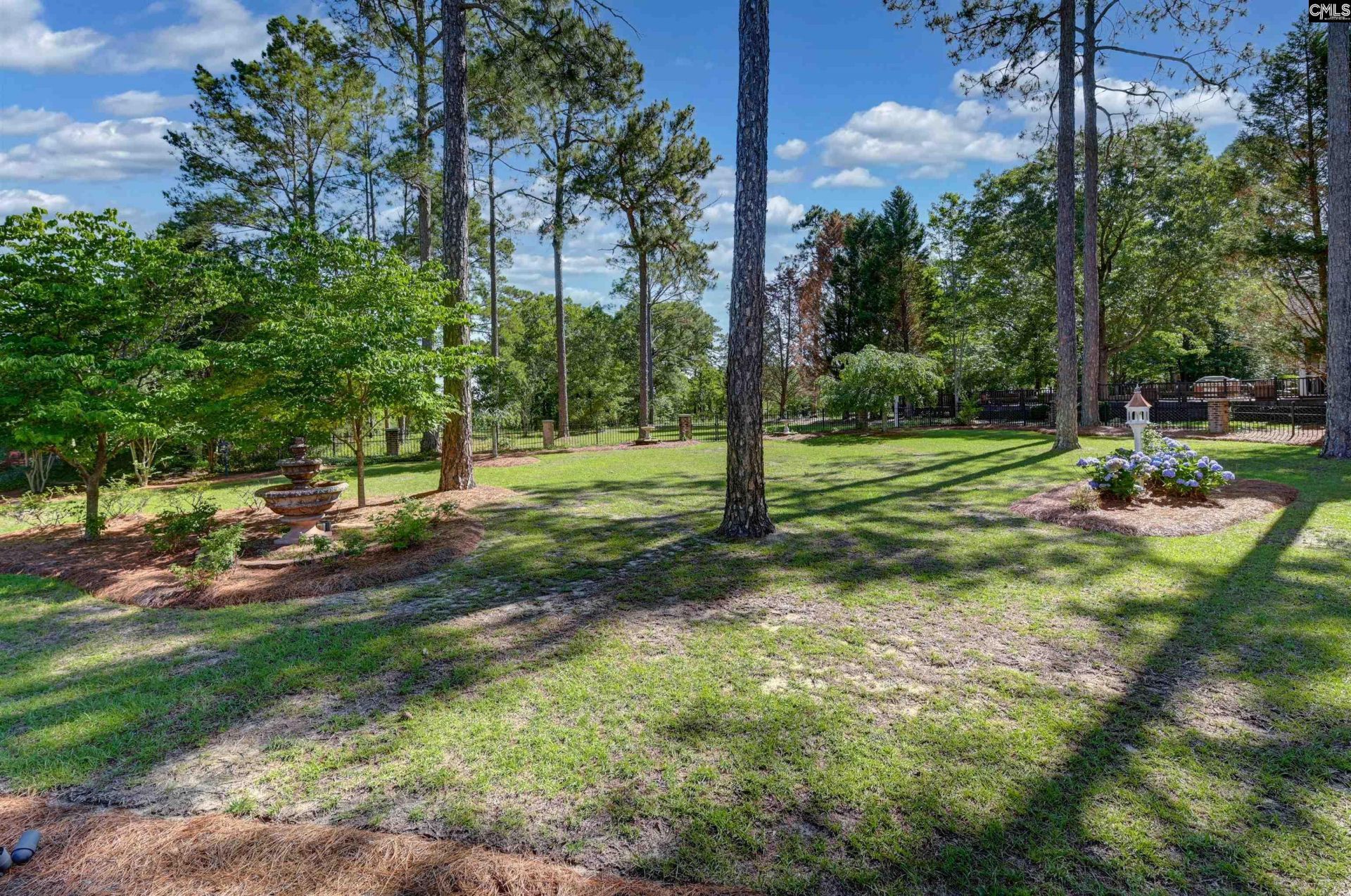 101 Brookwood Forest Drive  Photo 84