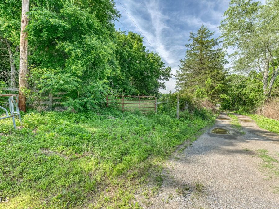 Property Image 38