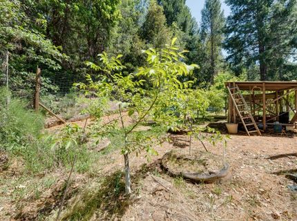 141 Glory Hole, North San Juan, CA 95358 Photo