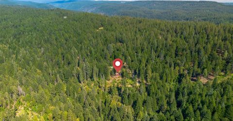 141 Glory Hole, North San Juan, CA 95358 Photo