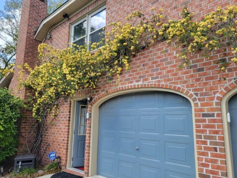 2 Cutchin Court Photo 76