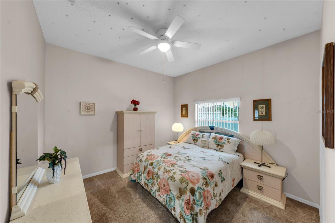7816 Marigold Avenue, Tampa, FL 33614 Photo