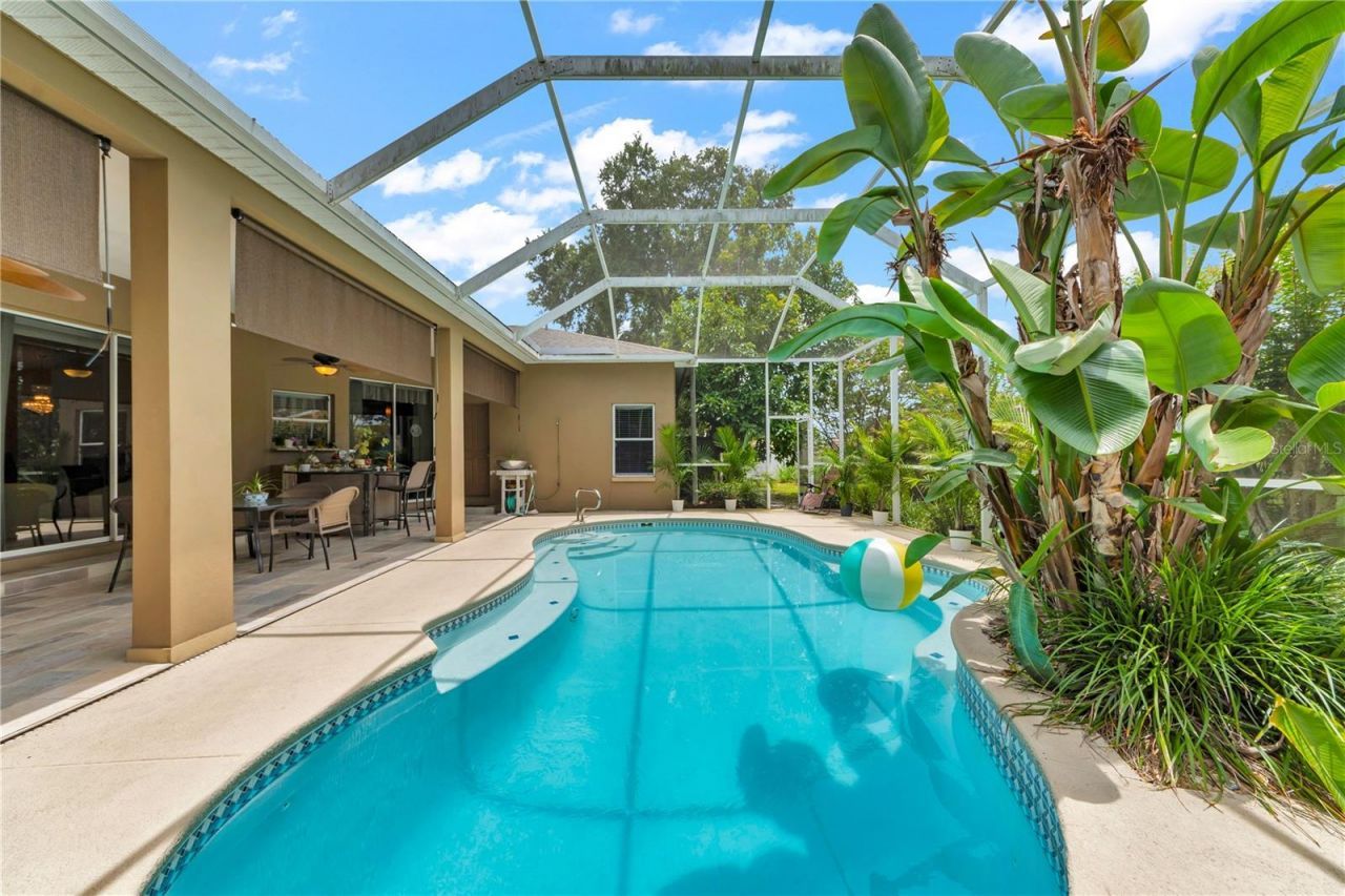 7816 Marigold Avenue, Tampa, FL 33614 Photo