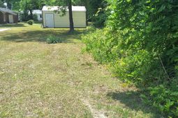 00 Palmetto Road photo 4