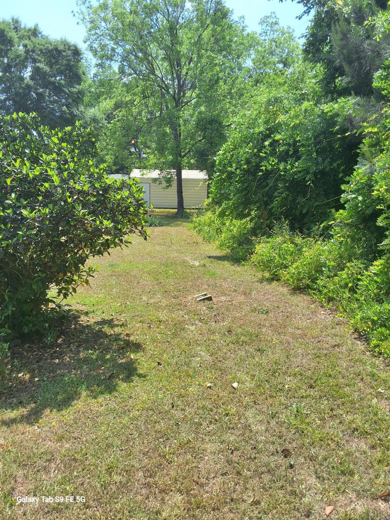 00 Palmetto Road Photo 4