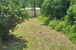 00 Palmetto Road photo 4