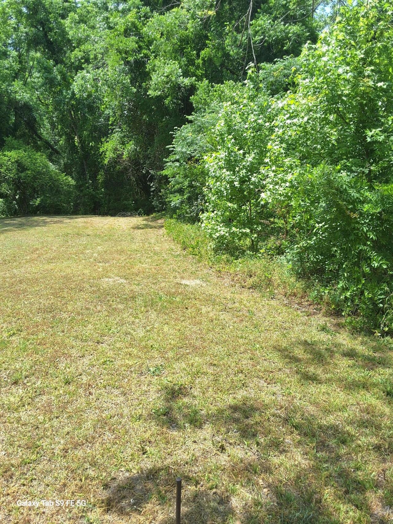 00 Palmetto Road Photo 5