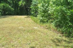 00 Palmetto Road photo 4