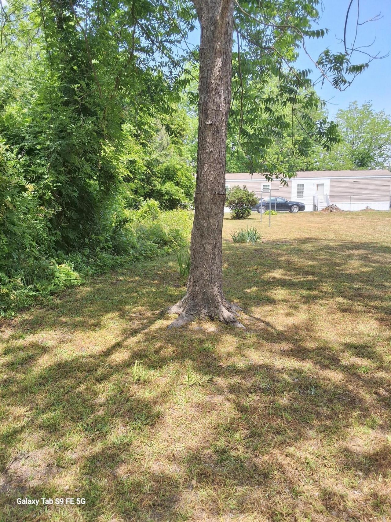 00 Palmetto Road Photo 6