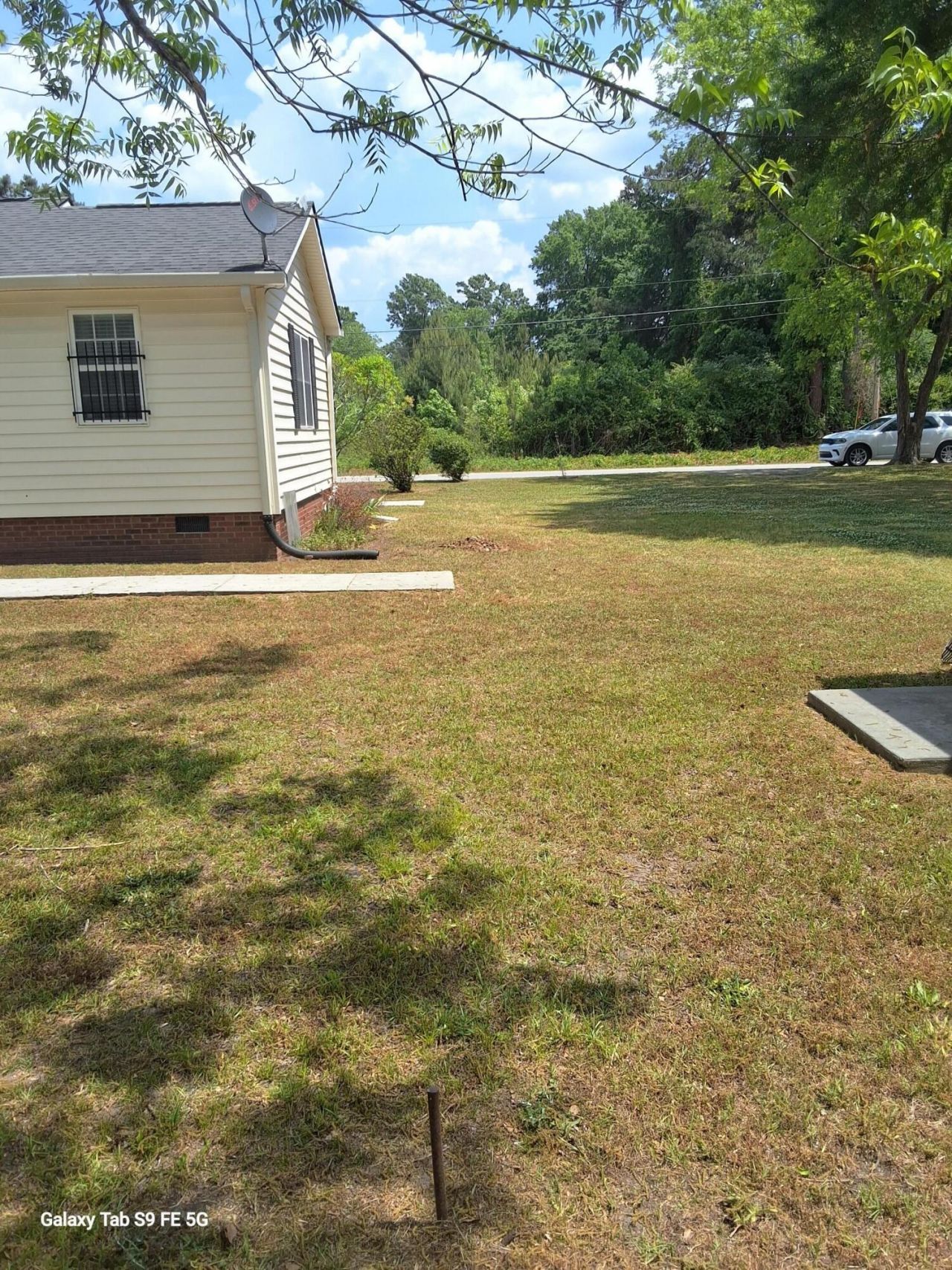 00 Palmetto Road Photo 8