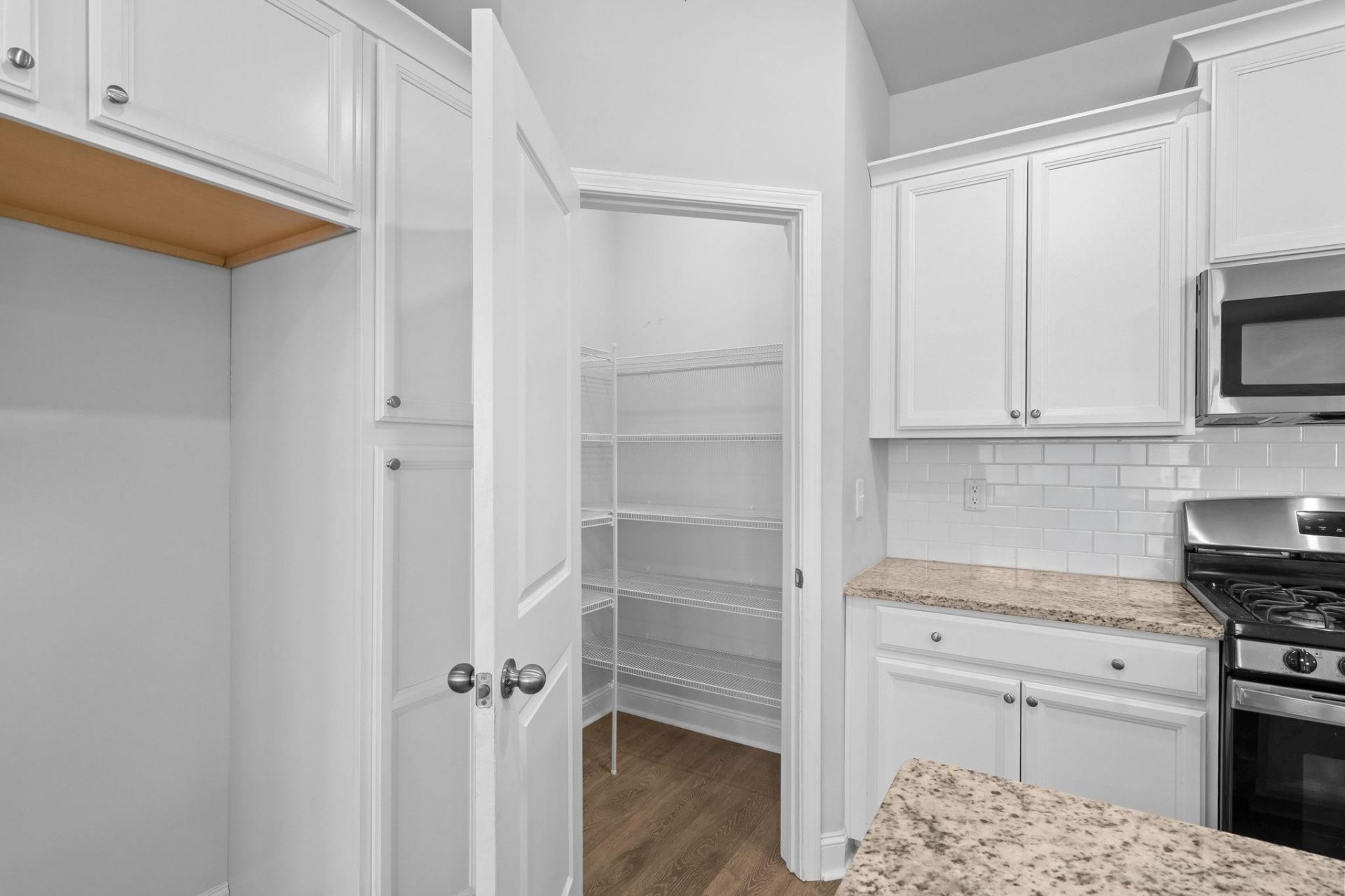2495 Blue Crane Circle  Photo 35
