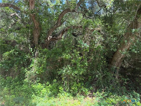 Lot 529 Grand Oak Street , Palacios, TX 77465