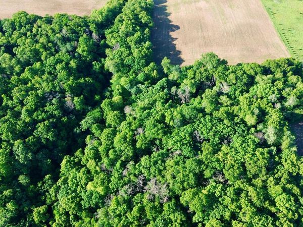 Lot 2 160th Ave , Maiden Rock, WI 54750