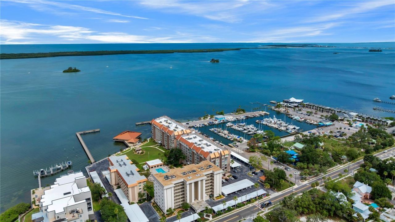 622 Edgewater Drive, Unit 823, Dunedin, FL 34698 Photo