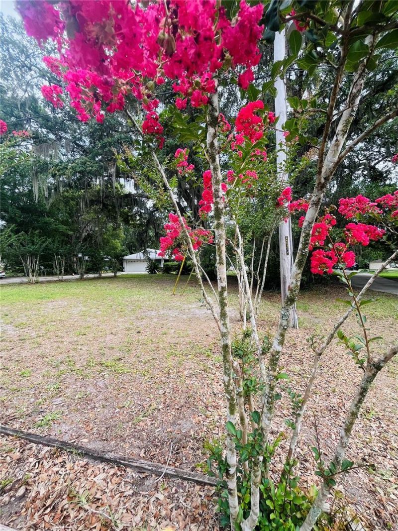 20517 NE 114th Avenue , Waldo, FL 32694 Photo