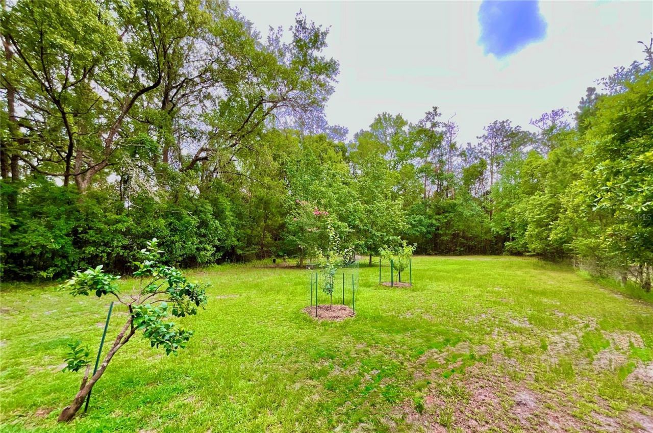 20517 NE 114th Avenue, Waldo, FL 32694 Photo
