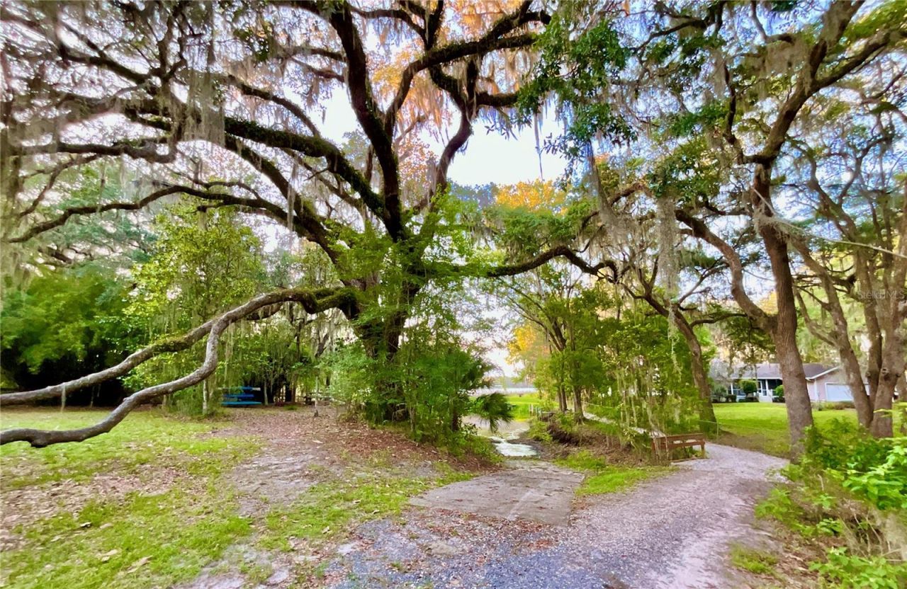 20517 NE 114th Avenue, Waldo, FL 32694 Photo