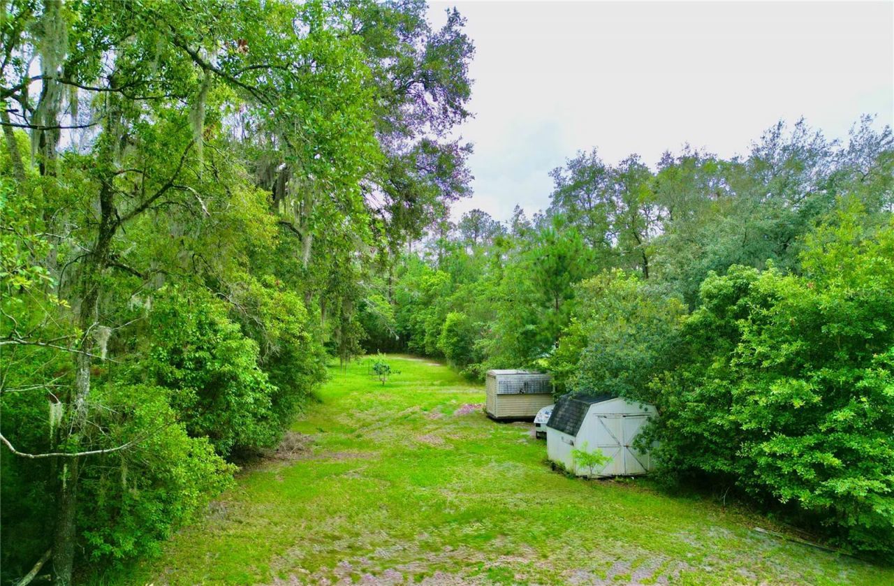 20517 NE 114th Avenue, Waldo, FL 32694 Photo