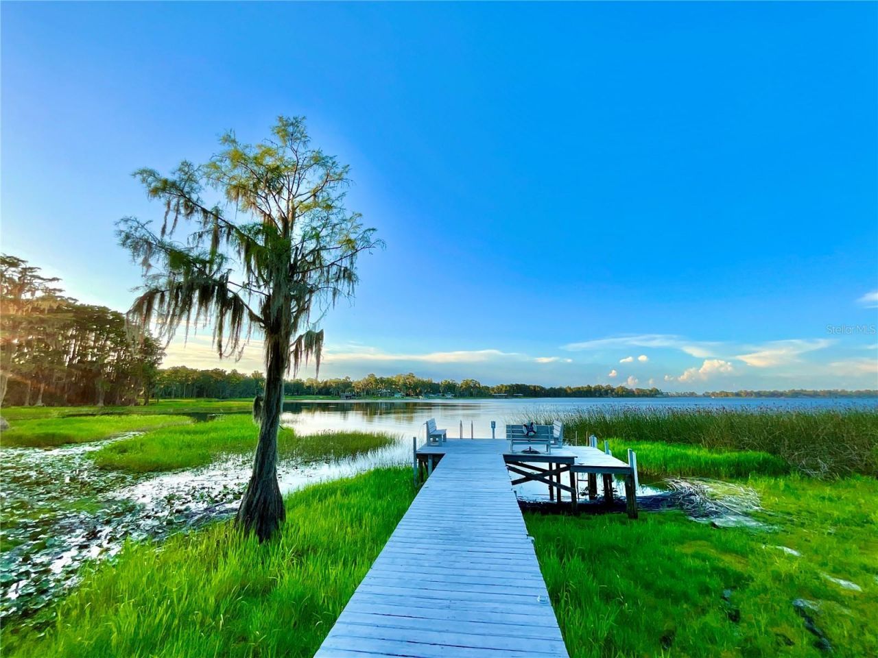 20517 NE 114th Avenue, Waldo, FL 32694 Photo