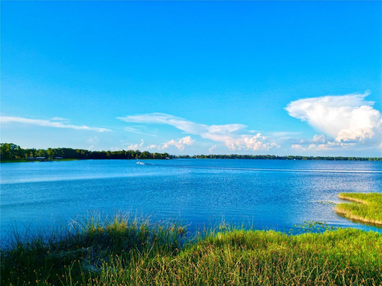 20517 NE 114th Avenue, Waldo, FL 32694 Photo