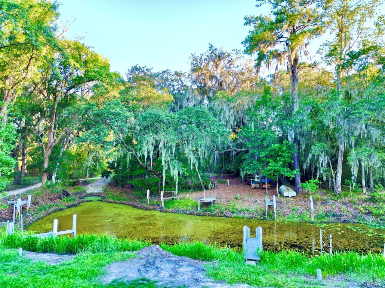 20517 NE 114th Avenue, Waldo, FL 32694 Photo